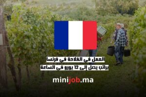 العمل في الفلاحة في فرنسا براتب يصل إلى 12 يورو في الساعة
