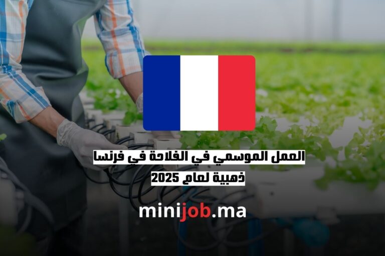 العمل الموسمي في الفلاحة في فرنسا فرصة ذهبية لعام 2025