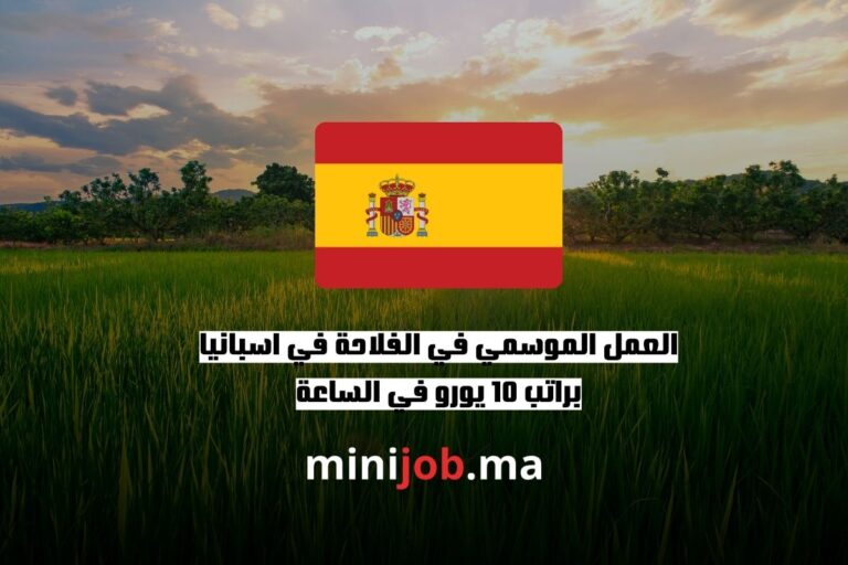 العمل الموسمي في الفلاحة في اسبانيا براتب 10 يورو في الساعة