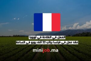 العمل في الفلاحة في أوروبا عقد عمل في فرنسا براتب 22 ألف يورو في الساعة ijob ma بالعربية 2025