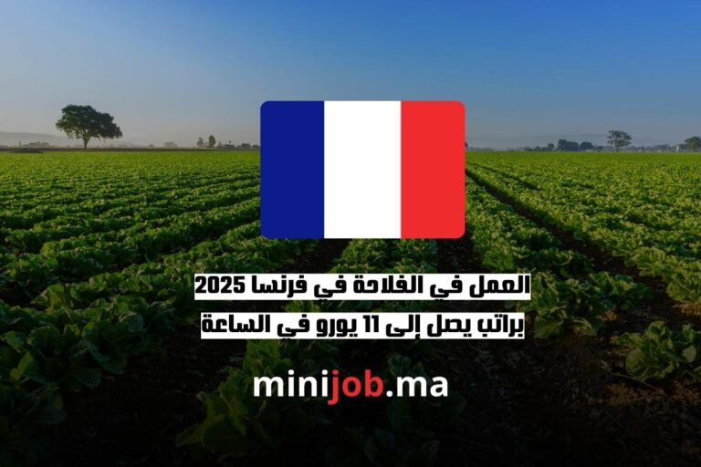 العمل في الفلاحة في فرنسا 2025 براتب يصل إلى 11 يورو في الساعة